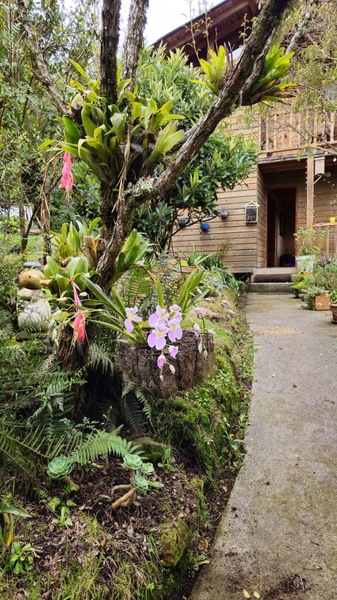 Beehouse Arvi Cabana Guarne Exterior photo